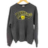 ヘインズ Hanes hawkeyes スウェット メンズ import:XL